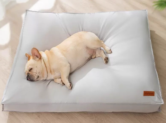 Washable Dog Bed - Ash