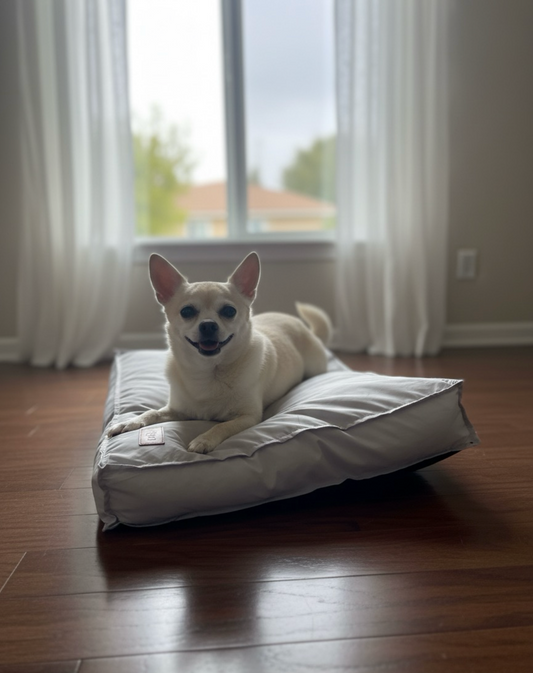 Washable Dog Bed - Sandstone