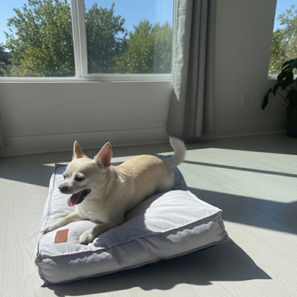 Washable Dog Bed - Ash