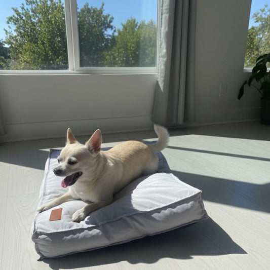 Washable Dog Bed - Ash